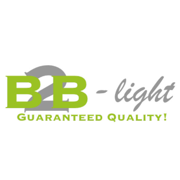 B2B-Light